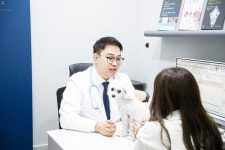 [칼럼] 폭염 예상되는 올 여름…반려동물 무더위 극복 방법은?