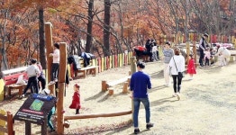정읍시, 사계절 관광도시 변모…생활인구 증가