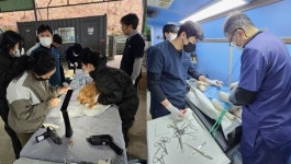 (주)휴벳-전북대 수의대, 정읍시 유기견 무료 중성화 수술