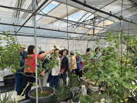 익산시, 오는 9월까지 사회서비스 기관 연계 치유 프로그램 운영