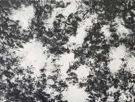 서양화가 조원정 개인전 나비야 나비야