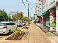 군산시·한전 군산지사, 백토로 일대 사계절 가로환경 조성 눈길