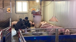 김제시, 축종별 맞춤형 질병 관리 컨설팅 추진