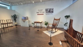 나무가 가르쳐 준 두 개의 언어, 직선 그리고 곡선