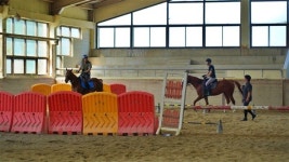 전주승마장, 말 복지 인증 획득