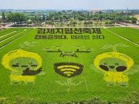 김제지평선축제, 전북대 외국인 유학생 손잡고 '세계 축제' 문 두드린다