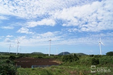 [SN포토] 성산일출봉 가는길 [제주도]