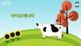 韓, 원전 없애고 신재생에너지로 가야하는이유 [지식용어-시사Ya]