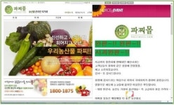 못난이 농산물로 온라인 직거래 비전을 제시하는 파찌몰