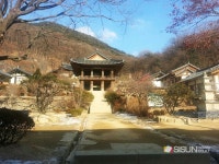 [SN포토] 부석사 무량수전 배흘림 기둥에 기대서서 [영주 부석사]