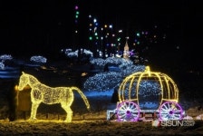 [SN축제] 겨울밤, 정원에 쏟아지는 아름다운 별빛 축제 제 8회 오색별빛정원전