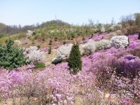 [SN여행] 가볍게 산책하기 좋은 부천 둘레길 [경기 부천]