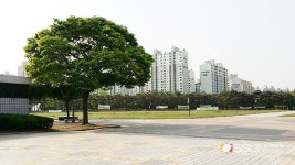 [SN여행] 부천시의 대표적인 공원 부천 중앙공원 [부천 중동]
