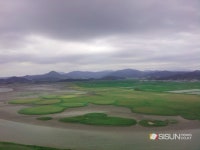 [SN여행] 푸르른 갈대와 바닷바람이 반기는 생태의 보고, 순천만 [전남 순천]
