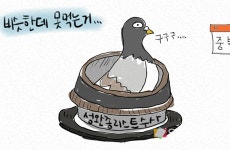 중복에 시작된 홍준표 경남도지사의 성완종 리스트 재판 [시선만평]