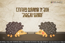 상처 받을 까봐 다가갈 수 없는 우리...고슴도치 딜레마 [지식용어]