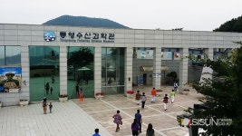 [SN여행]아름다운 언덕 위 해양의 이모저모를 알 수 있는 통영 수산과학관