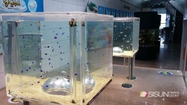 [SN여행]아름다운 언덕 위 해양의 이모저모를 알 수 있는 통영 수산과학관