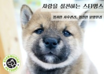 빠르게 성장하는 애견샵 창업 스타멍스애견샵