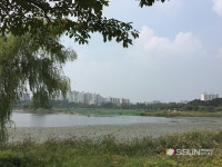 [SN여행] 정자동 주민들의 쉼터가 되는 <만석공원>