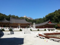 [SN여행] 화려한 단청을 보여주는 도봉산의 능원사