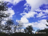 [SN여행] 춘천숲자연휴양림에서 편안한 글램핑을 [강원 춘천]