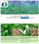미산약초농장, 하수오부터 초석잠까지 유기농 재배로 더욱 건강하게