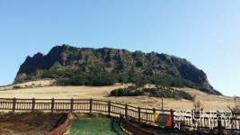 [SN여행] 거대한 성과 같이 웅장함을 뽐내는 성산일출봉[제주 서귀포]
