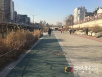 시선신림2층점 | [SN여행] 산책과 운동까지 즐길 수 있는 '도림천' [서울 신림]