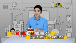 [T!p Talk] 상큼한 봄을 맞이한 딸기의 색다른 변신, 수제 딸기잼 만들기  [시선뉴스-팁톡]