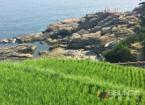 [SN여행] 선조들의 땀이 배어 있는 남해 다랭이 마을