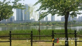 [SN여행] 도심 속 시원한 호수를 바라보며 자연을 느낄 수 있는 상동호수공원 [경기 부천]