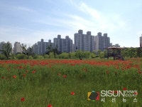[SN여행] 부천의 대표적인 휴식처이자 명소인 상동호수공원
