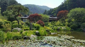 [SN여행] 계절별로 팔색조의 매력을 선보이는 아침고요수목원