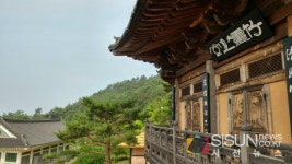 [SN여행] 한국 다도의 성지, 초의선사 탄생지 [전남 무안]