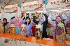 [SN축제] 한국의 대표 약초 인삼 함께하는 <제36회 금산인삼축제>