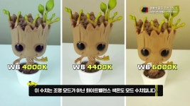 [T!p Talk] 포토그래퍼 도전! 스마트폰 카메라 전문가 모드 활용법 [시선뉴스-팁톡]