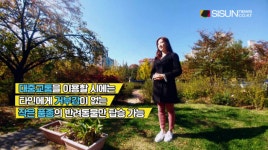 [팁톡] 펫 트래블러를 위한 반려동물과 여행하기 팁  [시선뉴스]