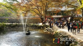 [SN여행] 조선 8경의 하나로 손꼽히는 내장산국립공원