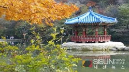 [SN여행] 조선 8경의 하나로 손꼽히는 내장산국립공원