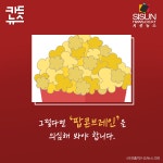 [카드뉴스] 자극이 필요한 현대인, 팝콘브레인 일수도 [시선뉴스]