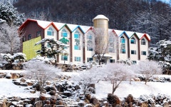 양평청솔 기숙학원, 재수 정규반 모집한다