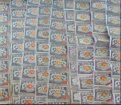 원기회복에 좋다던 북한산 웅담...알고 보니 돼지 쓸개