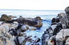 [SN여행] 시원한 바닷바람을 후포항에서 해맞이공원까지 [경북 울진군,영덕군]