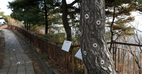 [10년 전 오늘] 청와대 뒤편 북악산, 시민들 품속으로 완전 개방