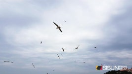 [SN여행] 잔잔한 해변에서 만든 스스로와의 추억 전북 부안의 어느 해변