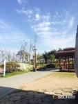 [SN여행] 서울 근교 나들이 장소로 좋은 시화나래 휴게소 [경기 안산]