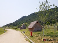 [SN여행] 죽기 전에 가봐야 할 국내여행지 고창 고인돌 [전북 고창]