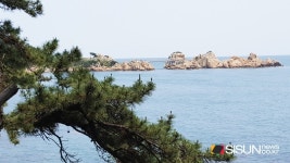 [SN여행] 때 이른 더위와 답답한 일상에 지친 이들에게 추천하는 울산 대왕암공원