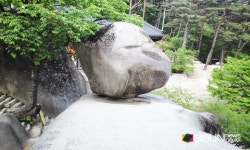 [SN여행] 설악산에 가면 흔들바위까지는 가 봐야지! [강원인제]